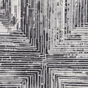 Begonia 5X7 Rug - Light Brown