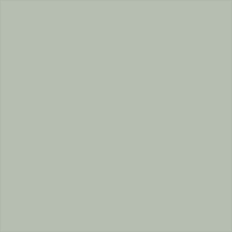 gray swatch  