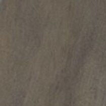 gray swatch  