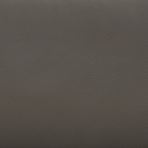 gray swatch  