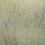 gray swatch  