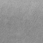 gray swatch  