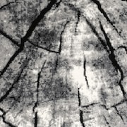 Dami 5' x 8' Area Rug - Gray/Black