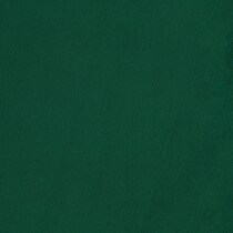 green swatch  