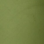 green swatch  