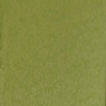 green swatch  