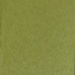 green swatch  