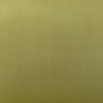 green swatch  