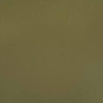 green swatch  