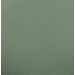 green swatch  