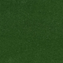 green swatch  