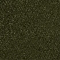 green swatch  