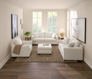 Hayden Collection image