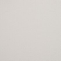 ivory swatch  