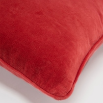 jameis red accent pillow   