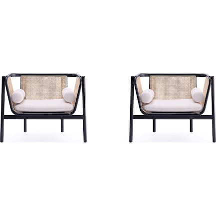 Jenner Set of 2 Accent Chairs
