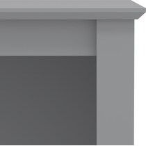 joelle gray desk   
