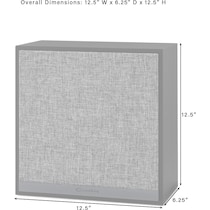 kaplan dimension schematic   