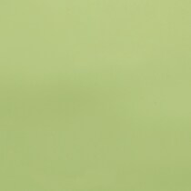 key lime swatch  