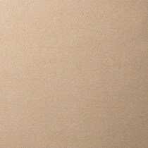 light brown swatch  