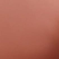 light brown swatch  
