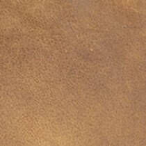 light brown swatch  