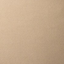 light brown swatch  