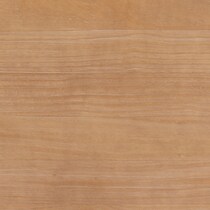 light brown swatch  