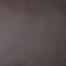 light brown swatch  