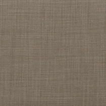 light brown swatch  