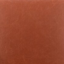 light brown swatch  