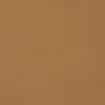 light brown swatch  