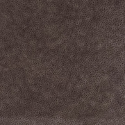Carter Glider Recliner - Earth