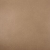 light brown swatch  