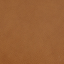 light brown swatch  