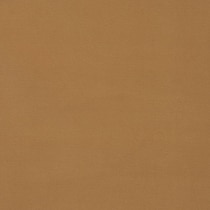 light brown swatch  