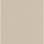 light brown swatch  