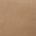 light brown swatch  