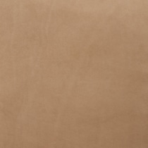 light brown swatch  