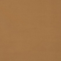 light brown swatch  