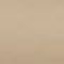 light brown swatch  