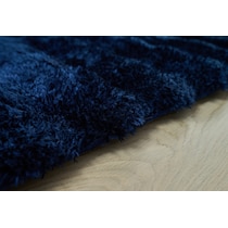 lilly blue area rug  x    