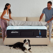 luxe adapt  white queen mattress   