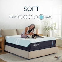 luxe adapt  white queen mattress   