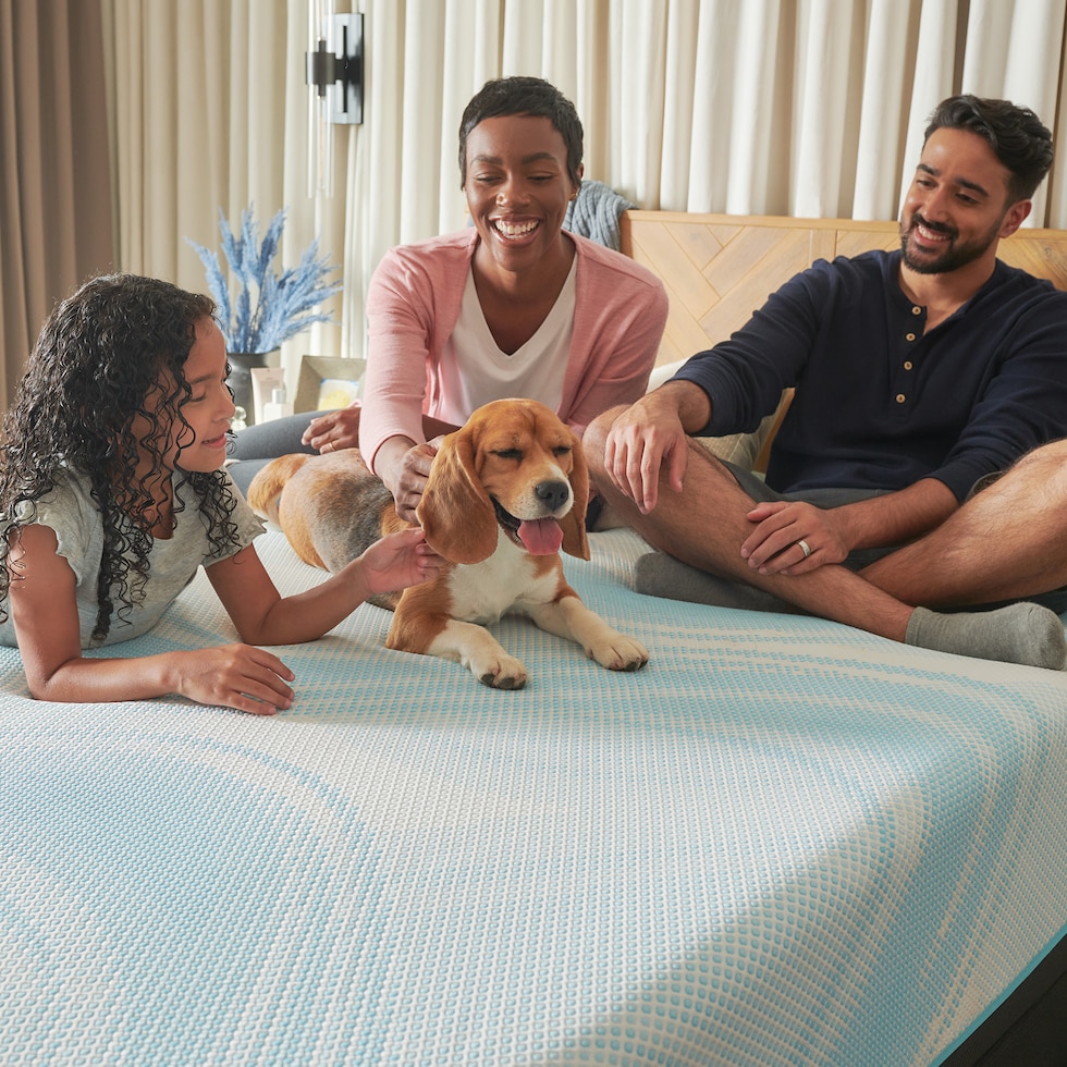 luxe breeze white queen mattress   