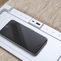 martino neutral sectional   