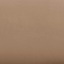 mocha swatch  
