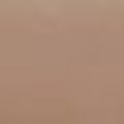 mocha swatch  