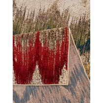 multicolor area rug  x    