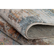 multicolor area rug  x    